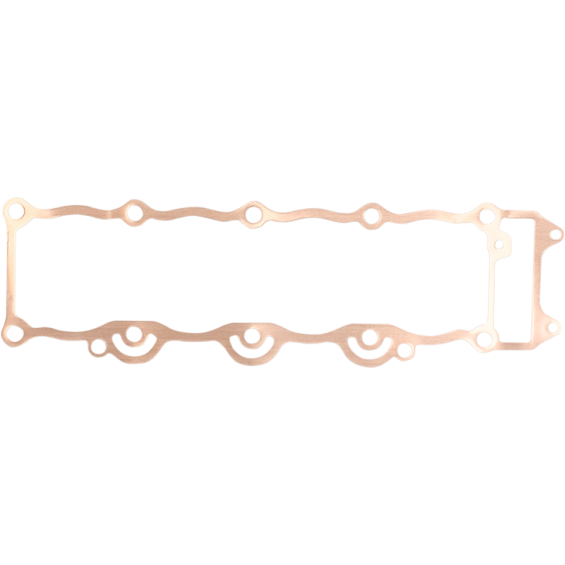 Joint Embase Cometic Kawasaki ZX-9R-2000/03