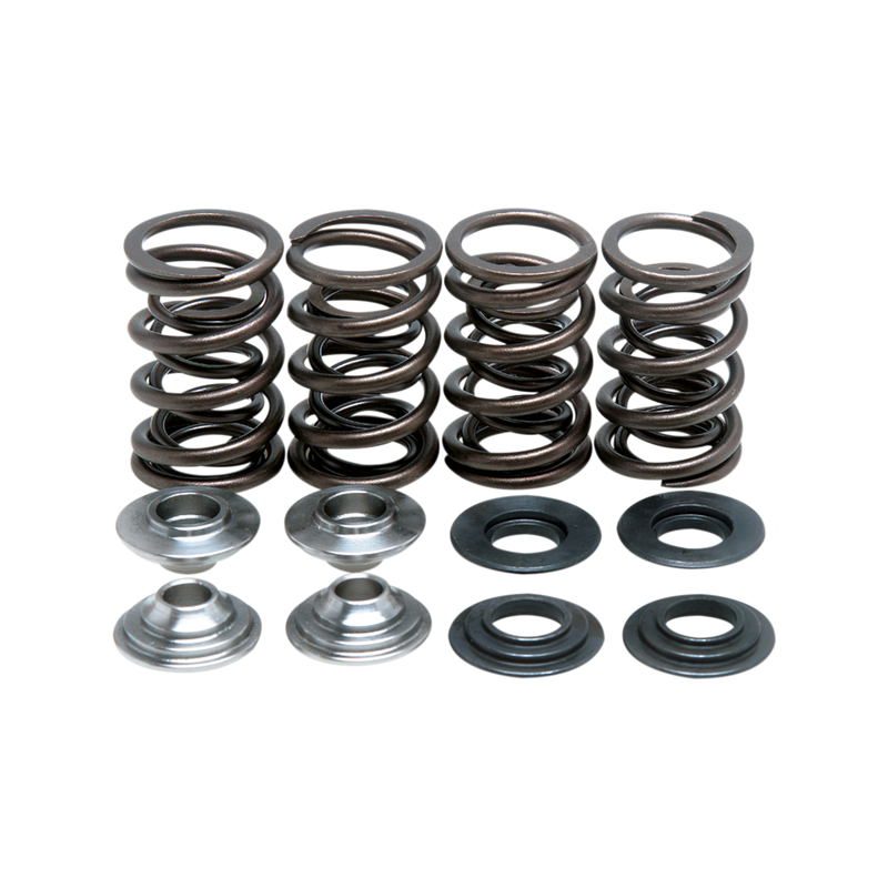 Valve Spring kit Suzuki DRZ400