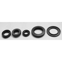 Pochette spi bas moteur Yamaha XT600