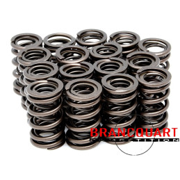 Kit Coupelles Titane Kawasaki ZX14/ZZR/GTR1400