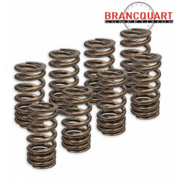 Kit ressorts Suzuki GSX-8R / GSX 8S / VStrom 800