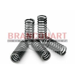 Ressorts Racing Embrayage Kawasaki ZX-6R 1998/99