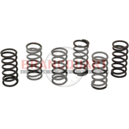 Ressorts Embrayage YAMAHA YZF-R1 2004/06