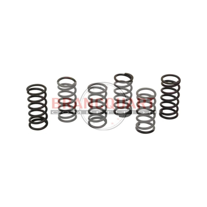 Ressorts Embrayage SUZUKI GSX-R 600 1997/00