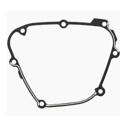 Segments Yamaha MT-09/890cc  2021/26