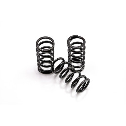 Ressorts Embrayage Racing Yamaha MT-09 - 2017/22