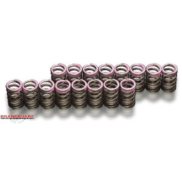 kit-ressorts-de-soupapes-racing-zx6r