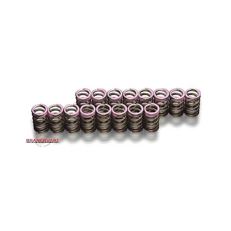 kit-ressorts-de-soupapes-racing-zx6r