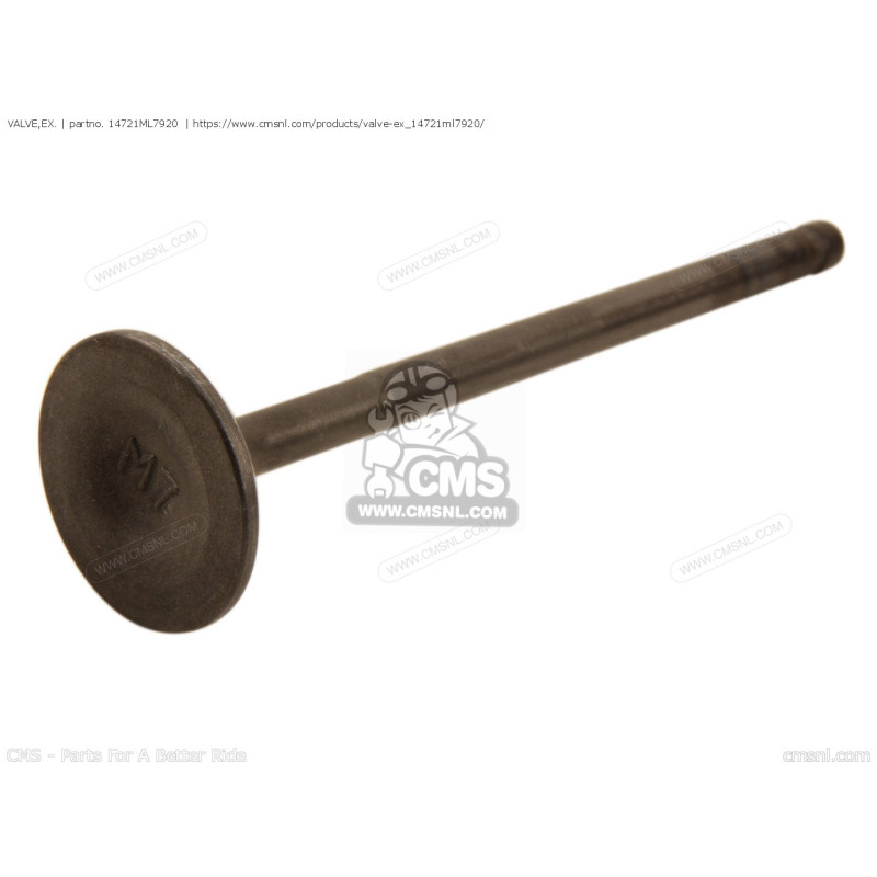 joint-culasse-rc30-72mm